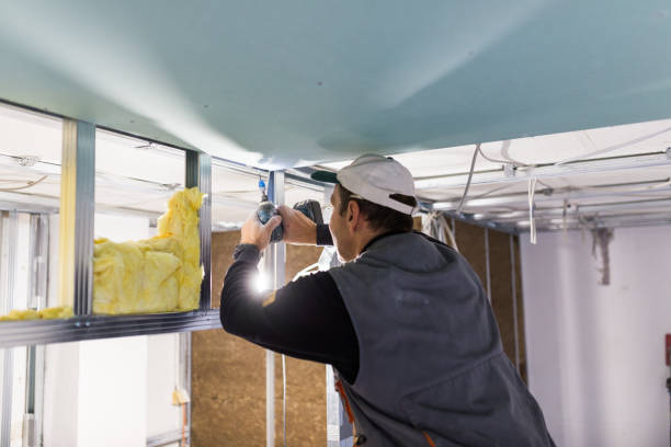 Best Specialized Insulation Services in Glen Ellyn, IL